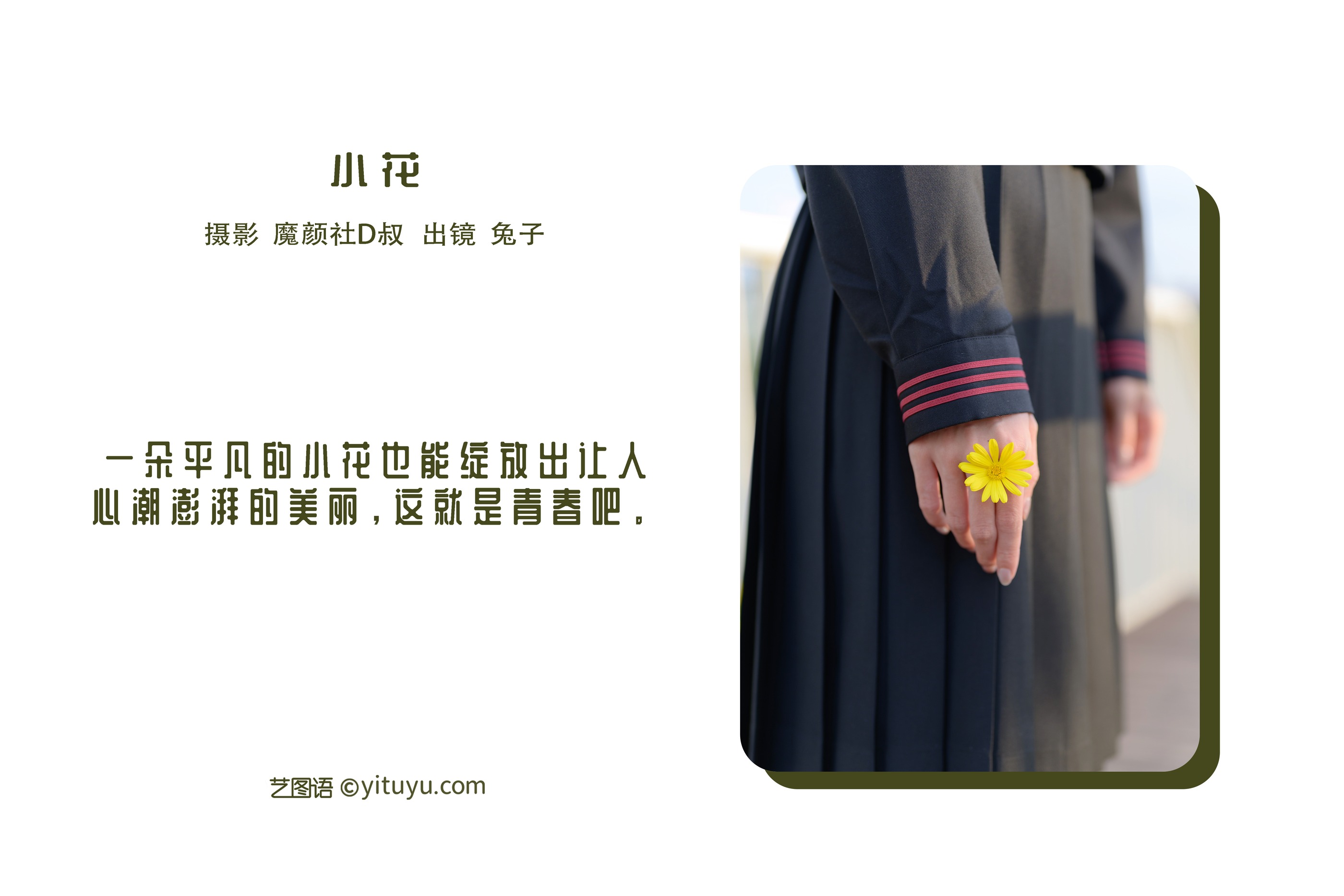 图片[1]-兔子Zzz不吃胡萝卜 – NO.136 小花 [34P]-XikXak